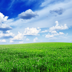 Similar image 1102313