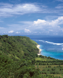 Similar image 1102323