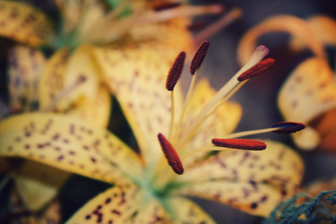 Similar image 1102341