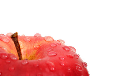 Similar image 1102345