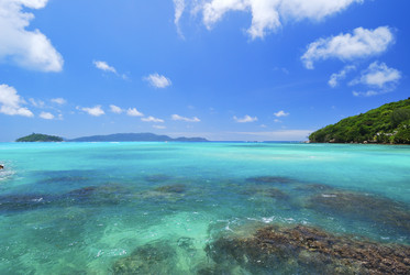 Similar image 1102359