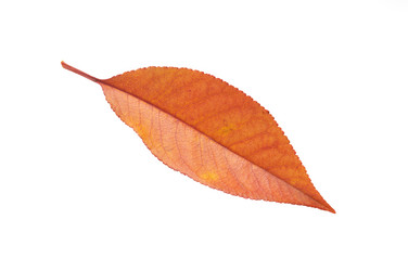 Similar image 1102623