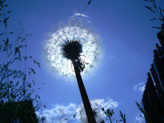 Similar image 1102707