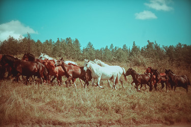 Similar image 1102775