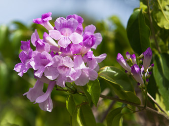 Similar image 1102924