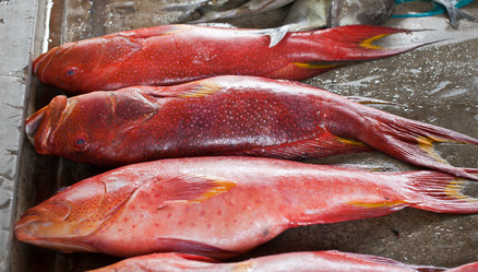 Similar image 1103107