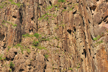 Similar image 1103109