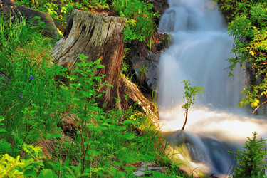 Similar image 1103110