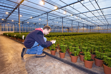 Similar image 1103177