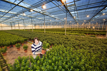 Similar image 1103201