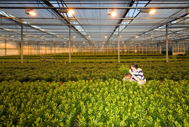 Similar image 1103202