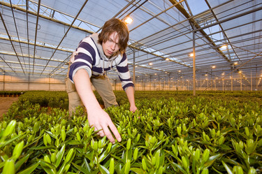 Similar image 1103203