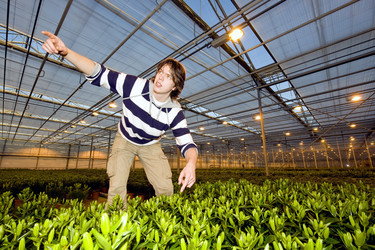 Similar image 1103204