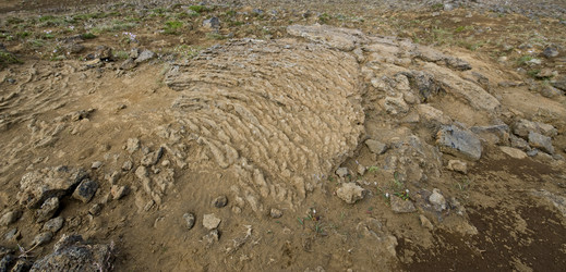 Similar image 1103393