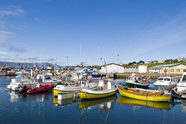 Similar image 1103406