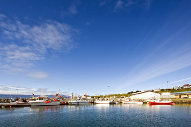 Similar image 1103407