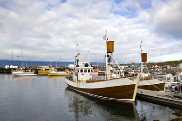 Similar image 1103408