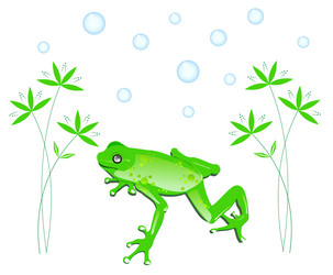 Similar image 1103640