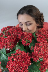 Similar image 1103657