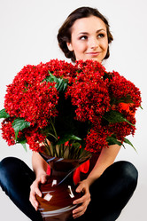 Similar image 1103666