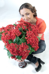 Similar image 1103674