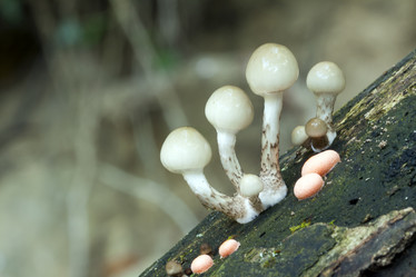 Similar image 1103685