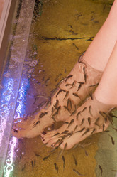 Similar image 1104054