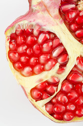 Similar image 1104058