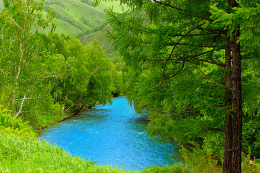 Similar image 1104120