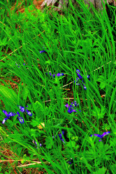 Similar image 1104122