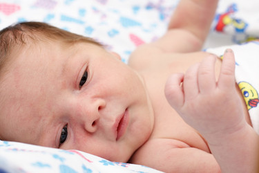 Similar image 1104129