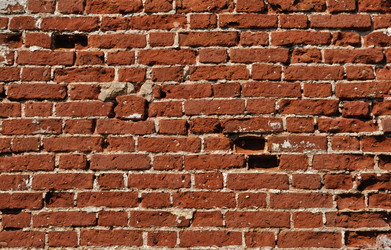 Similar image 1104154