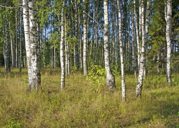 Similar image 1104162