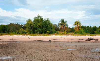 Similar image 1104185