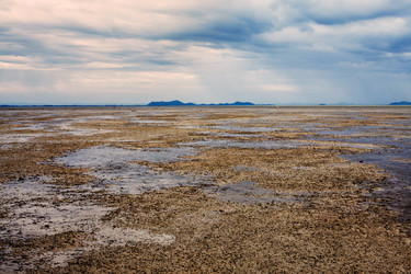 Similar image 1104186