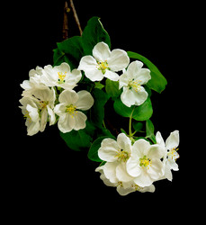 Similar image 1104201