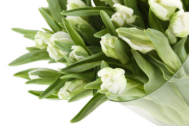 Similar image 1104322