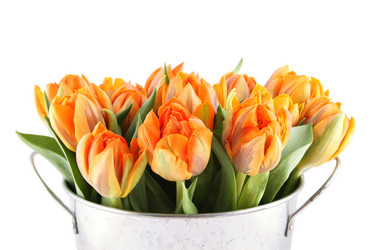 Similar image 1104323