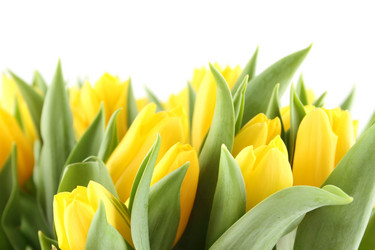 Similar image 1104324