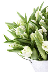 Similar image 1104375