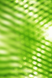 Similar image 1104391