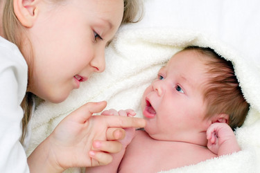 Similar image 1104437