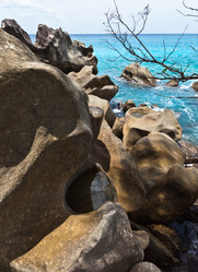 Similar image 1104463