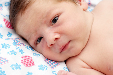 Similar image 1104526