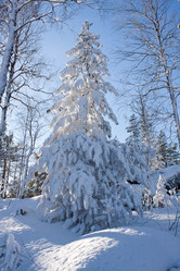 Similar image 1104530