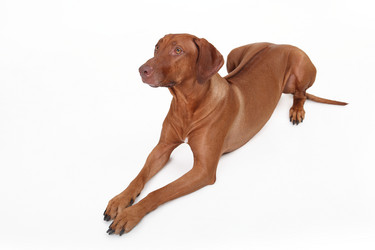 Similar image 1104545