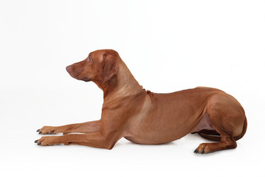 Similar image 1104546