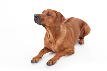 Similar image 1104547