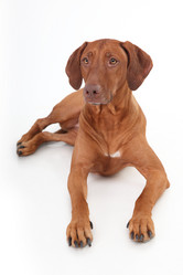 Similar image 1104549