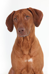 Similar image 1104550